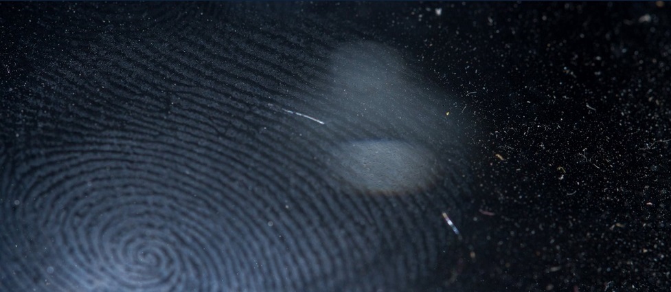 View of a fingerprint.